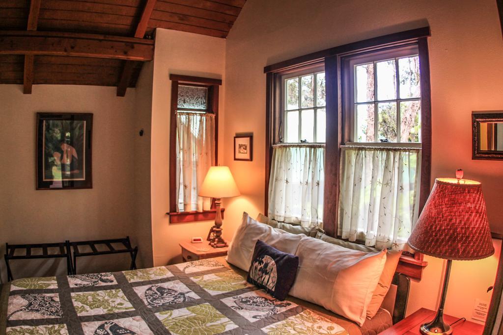 Ferny Hollow: Romantic Rainforest Cottage Volcano Extérieur photo