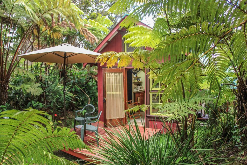 Ferny Hollow: Romantic Rainforest Cottage Volcano Extérieur photo