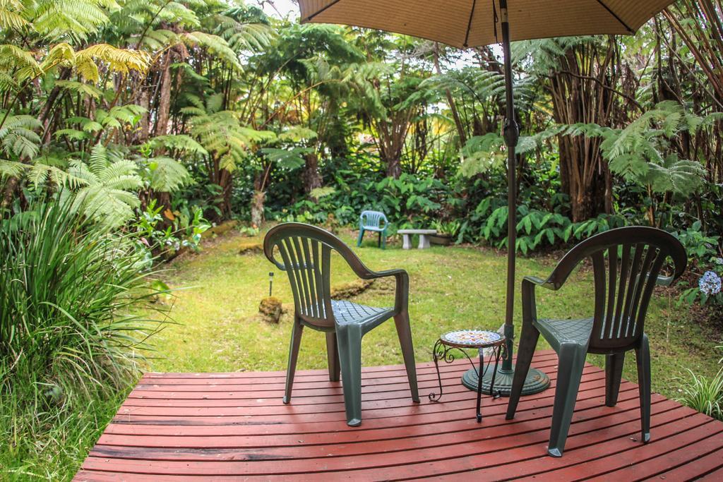 Ferny Hollow: Romantic Rainforest Cottage Volcano Extérieur photo