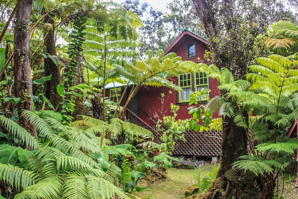 Ferny Hollow: Romantic Rainforest Cottage Volcano Extérieur photo