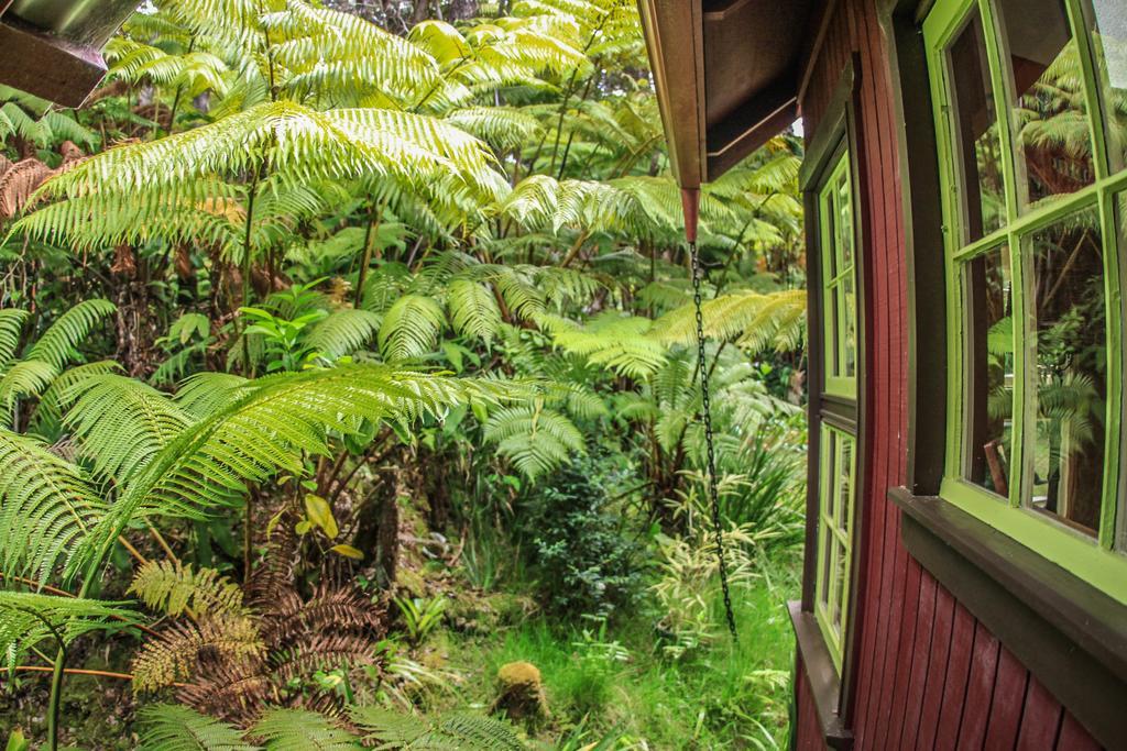 Ferny Hollow: Romantic Rainforest Cottage Volcano Extérieur photo